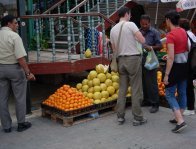 Terra Santa 2005 Immagine